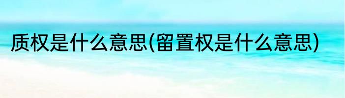 质权是什么意思(留置权是什么意思)