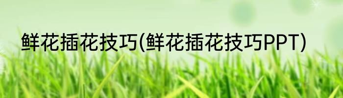 鲜花插花技巧(鲜花插花技巧PPT)