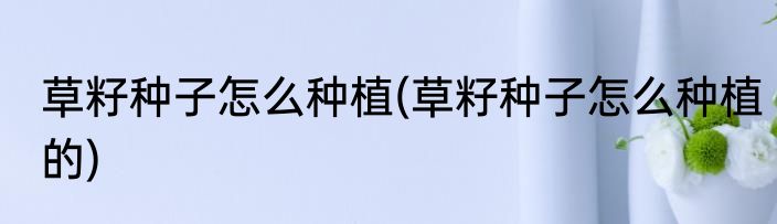 草籽种子怎么种植(草籽种子怎么种植的)