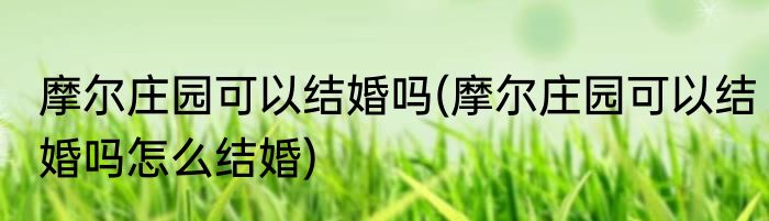 摩尔庄园可以结婚吗(摩尔庄园可以结婚吗怎么结婚)