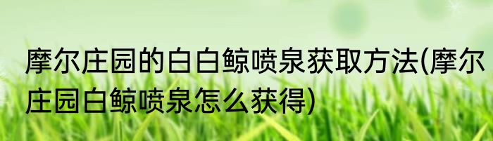 摩尔庄园的白白鲸喷泉获取方法(摩尔庄园白鲸喷泉怎么获得)