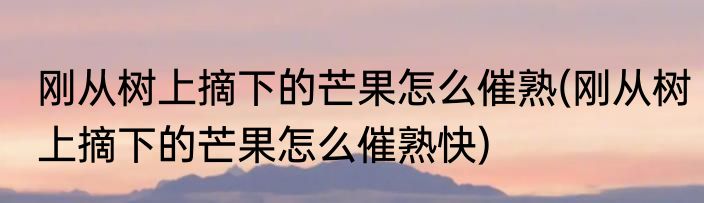 刚从树上摘下的芒果怎么催熟(刚从树上摘下的芒果怎么催熟快)