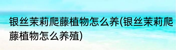 银丝茉莉爬藤植物怎么养(银丝茉莉爬藤植物怎么养殖)