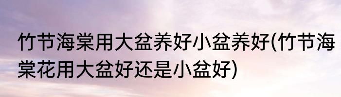 竹节海棠用大盆养好小盆养好(竹节海棠花用大盆好还是小盆好)