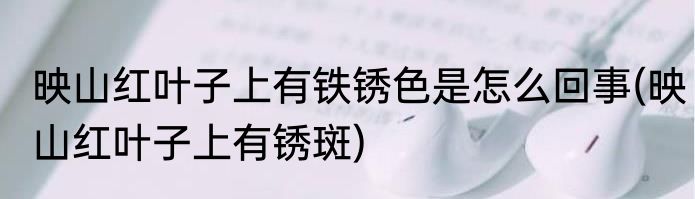 映山红叶子上有铁锈色是怎么回事(映山红叶子上有锈斑)