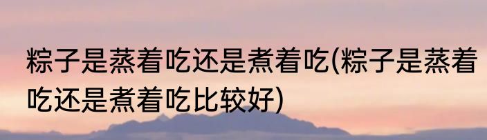 粽子是蒸着吃还是煮着吃(粽子是蒸着吃还是煮着吃比较好)