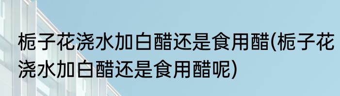 栀子花浇水加白醋还是食用醋(栀子花浇水加白醋还是食用醋呢)