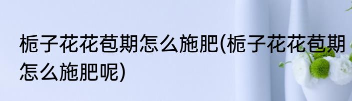 栀子花花苞期怎么施肥(栀子花花苞期怎么施肥呢)