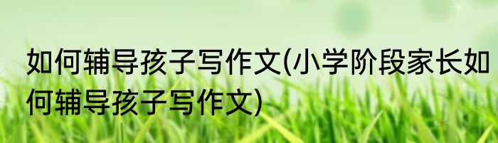 如何辅导孩子写作文(小学阶段家长如何辅导孩子写作文)
