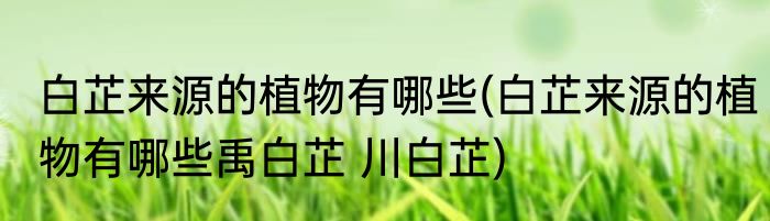 白芷来源的植物有哪些(白芷来源的植物有哪些禹白芷 川白芷)