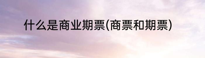 什么是商业期票(商票和期票)