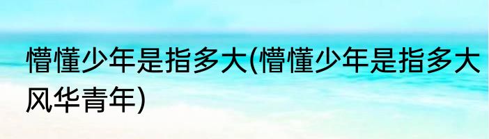 懵懂少年是指多大(懵懂少年是指多大风华青年)