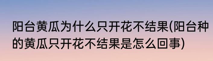 阳台黄瓜为什么只开花不结果(阳台种的黄瓜只开花不结果是怎么回事)