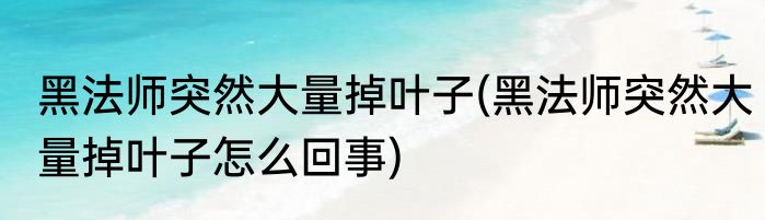 黑法师突然大量掉叶子(黑法师突然大量掉叶子怎么回事)