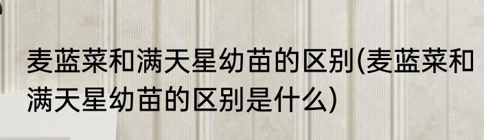 麦蓝菜和满天星幼苗的区别(麦蓝菜和满天星幼苗的区别是什么)