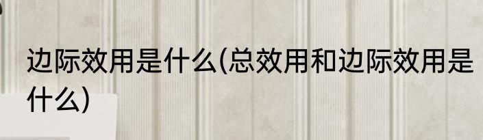 边际效用是什么(总效用和边际效用是什么)