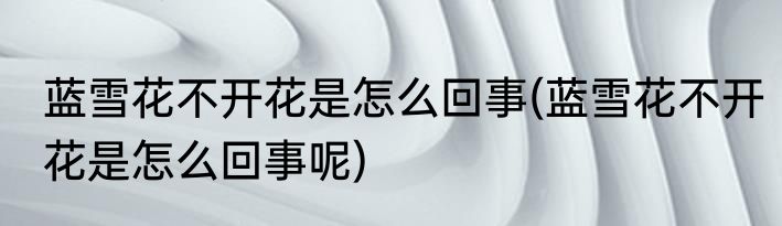 蓝雪花不开花是怎么回事(蓝雪花不开花是怎么回事呢)