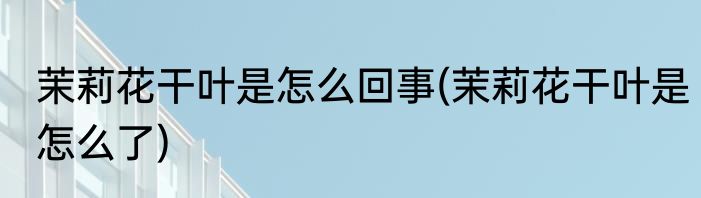 茉莉花干叶是怎么回事(茉莉花干叶是怎么了)
