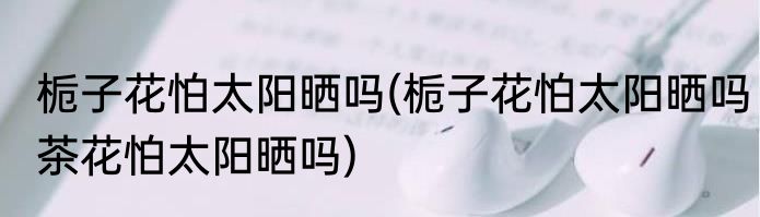 栀子花怕太阳晒吗(栀子花怕太阳晒吗茶花怕太阳晒吗)