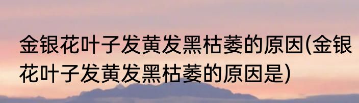 金银花叶子发黄发黑枯萎的原因(金银花叶子发黄发黑枯萎的原因是)