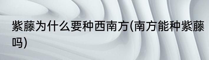 紫藤为什么要种西南方(南方能种紫藤吗)