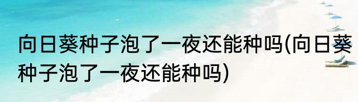 向日葵种子泡了一夜还能种吗(向日葵种子泡了一夜还能种吗)