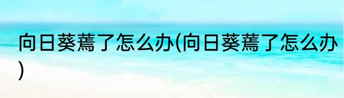 向日葵蔫了怎么办(向日葵蔫了怎么办)