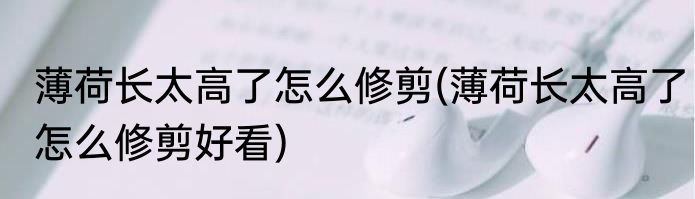 薄荷长太高了怎么修剪(薄荷长太高了怎么修剪好看)