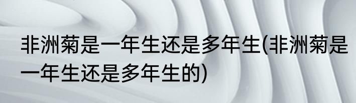 非洲菊是一年生还是多年生(非洲菊是一年生还是多年生的)