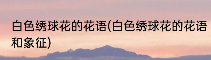 白色绣球花的花语(白色绣球花的花语和象征)
