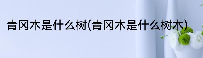 青冈木是什么树(青冈木是什么树木)