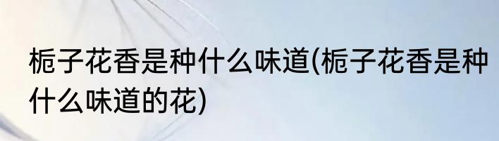 栀子花香是种什么味道(栀子花香是种什么味道的花)