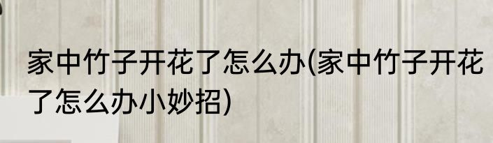 家中竹子开花了怎么办(家中竹子开花了怎么办小妙招)