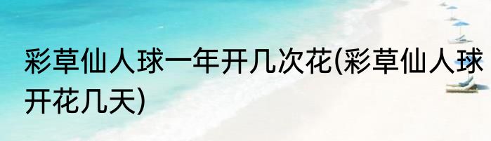 彩草仙人球一年开几次花(彩草仙人球开花几天)