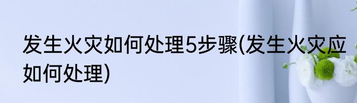 发生火灾如何处理5步骤(发生火灾应如何处理)