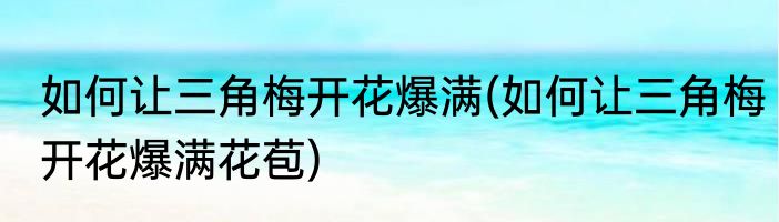 如何让三角梅开花爆满(如何让三角梅开花爆满花苞)