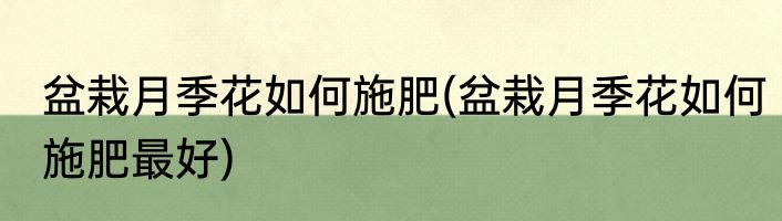 盆栽月季花如何施肥(盆栽月季花如何施肥最好)