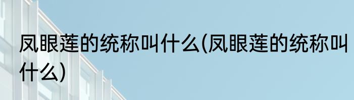 凤眼莲的统称叫什么(凤眼莲的统称叫什么)
