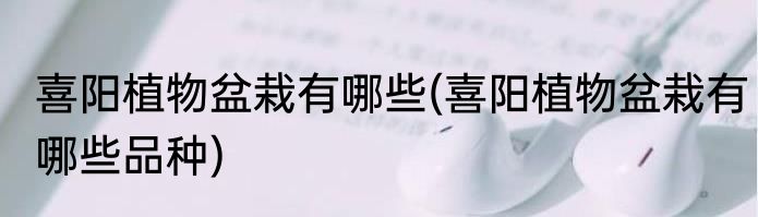 喜阳植物盆栽有哪些(喜阳植物盆栽有哪些品种)