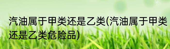 汽油属于甲类还是乙类(汽油属于甲类还是乙类危险品)