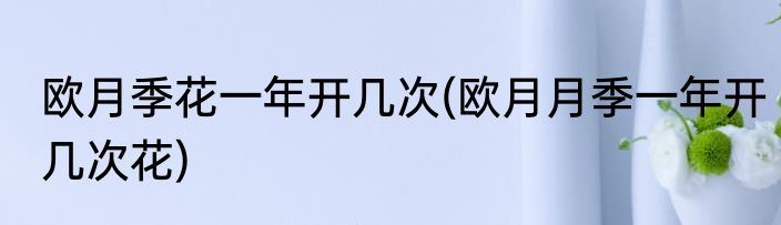 欧月季花一年开几次(欧月月季一年开几次花)