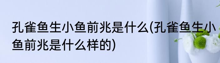 孔雀鱼生小鱼前兆是什么(孔雀鱼生小鱼前兆是什么样的)