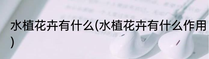 水植花卉有什么(水植花卉有什么作用)