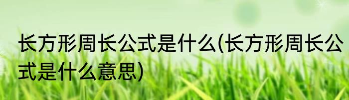 长方形周长公式是什么(长方形周长公式是什么意思)