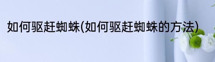 如何驱赶蜘蛛(如何驱赶蜘蛛的方法)