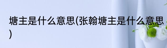 塘主是什么意思(张翰塘主是什么意思)