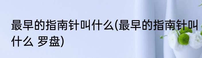 最早的指南针叫什么(最早的指南针叫什么 罗盘)