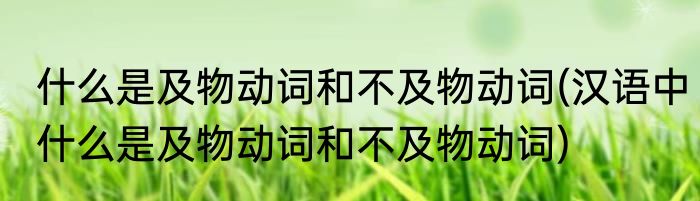 什么是及物动词和不及物动词(汉语中什么是及物动词和不及物动词)