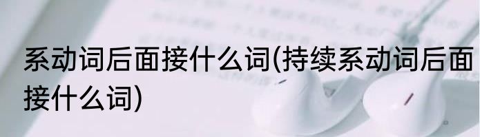 系动词后面接什么词(持续系动词后面接什么词)