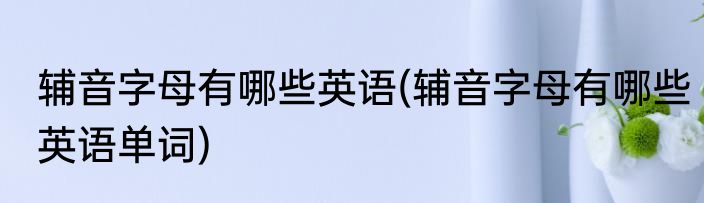 辅音字母有哪些英语(辅音字母有哪些英语单词)